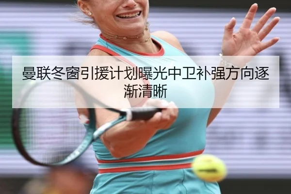 曼联冬窗引援计划曝光中卫补强方向逐渐清晰